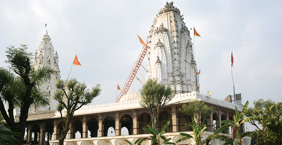 kyara-ke-balaji-img